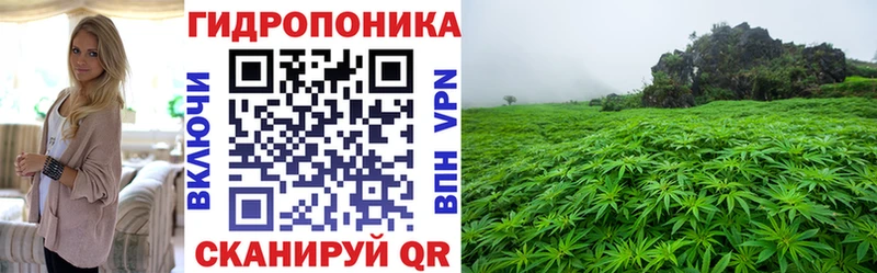 ГАШИШ Горняк