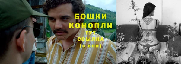 молекула духа Дедовск